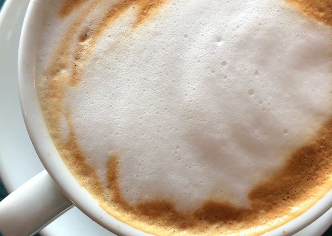 Cómo elegir un Espumador de Leche: 5 tips