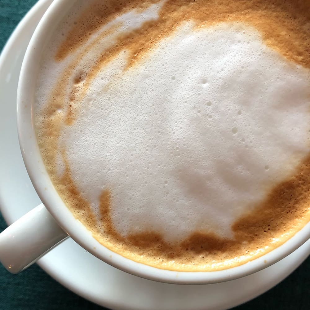 Cómo elegir un Espumador de Leche: 5 tips